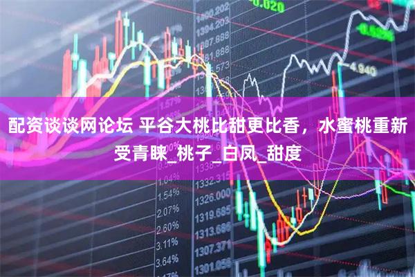 配资谈谈网论坛 平谷大桃比甜更比香，水蜜桃重新受青睐_桃子_白凤_甜度