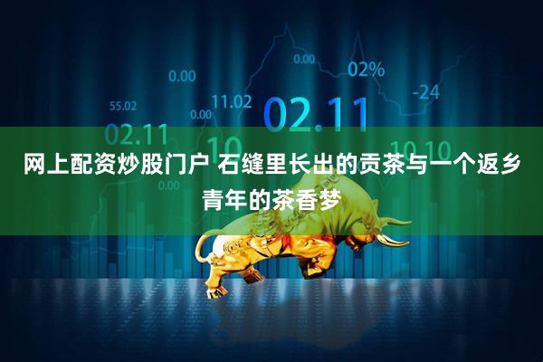 网上配资炒股门户 石缝里长出的贡茶与一个返乡青年的茶香梦
